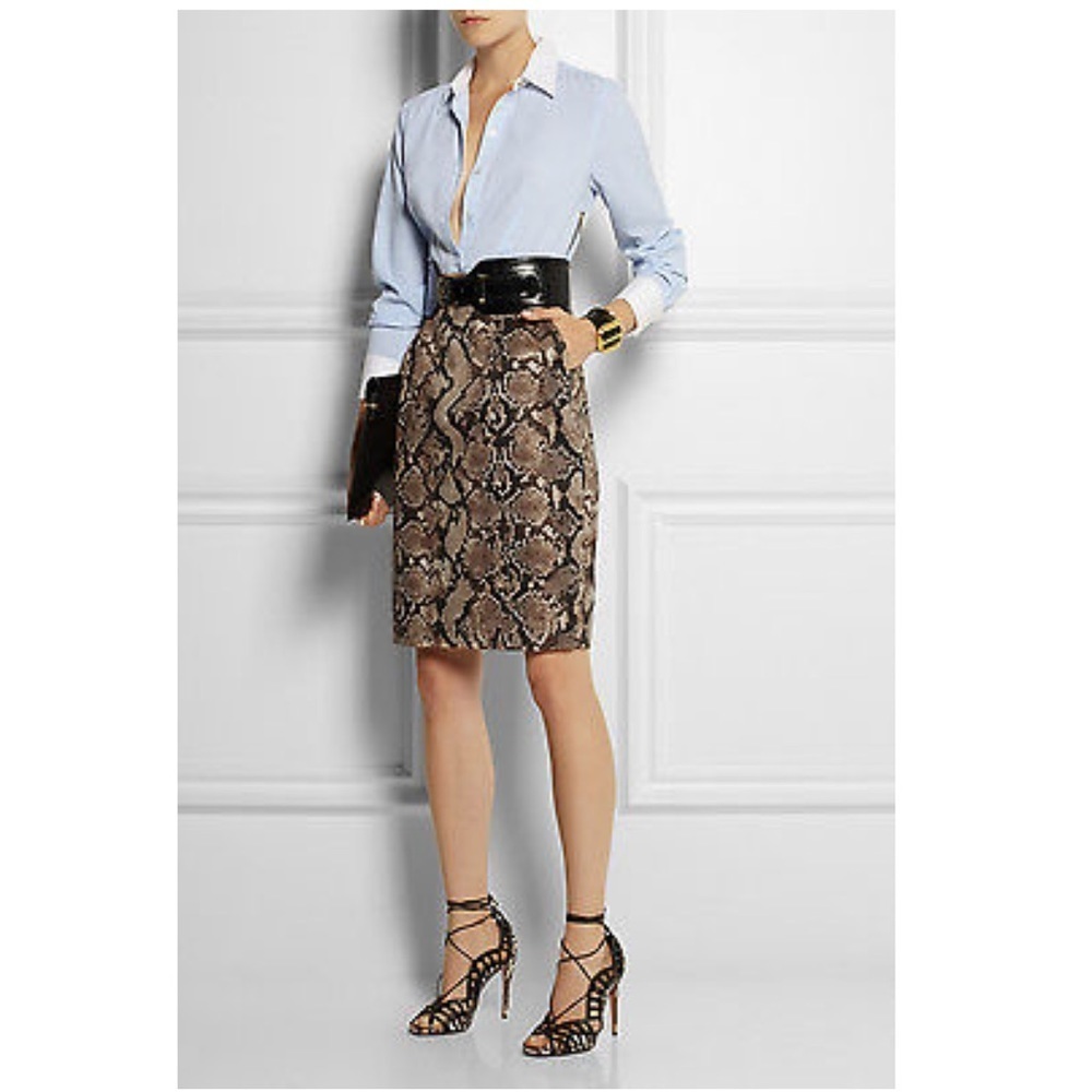 Altuzarra Stripe Animal print snakeskin pencil